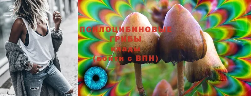 магазин  наркотиков  гидра ТОР  Псилоцибиновые грибы Psilocybine cubensis  Лодейное Поле 